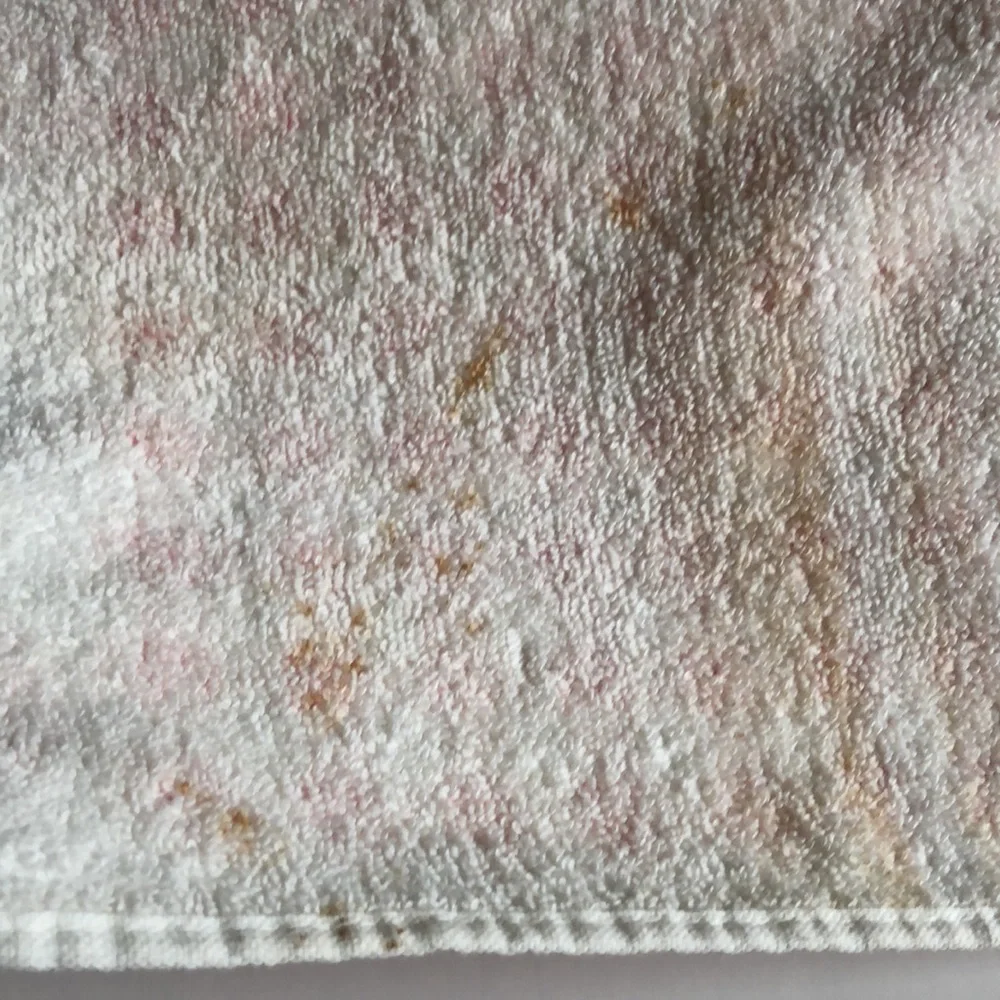 Springmaid Vintage Guest Towel Set Pink Gingham and flowers terrycloth 60s
